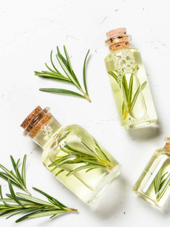Top 7 Health Benefits Of Rosemary Essential Oil for Skin