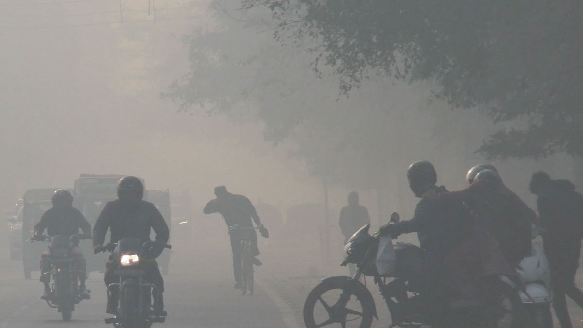 कोहरे और धुंध की चादर में लिपटा दिल्ली एनसीआर, जानें सेहत को कैसे कर रहा है प्रभावित?