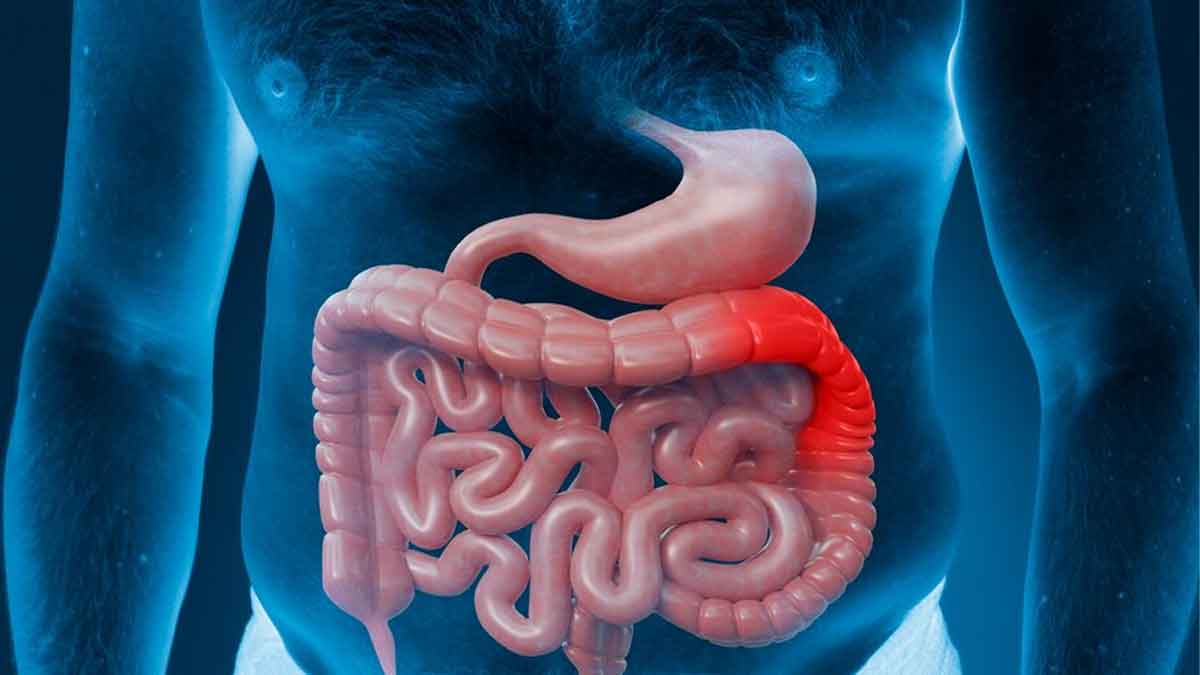 Intestinal Blockage: மலச்சிக்கல், வாயு பிரச்சனையை அலட்சியப்படுத்த வேணாம்.. உஷார்!