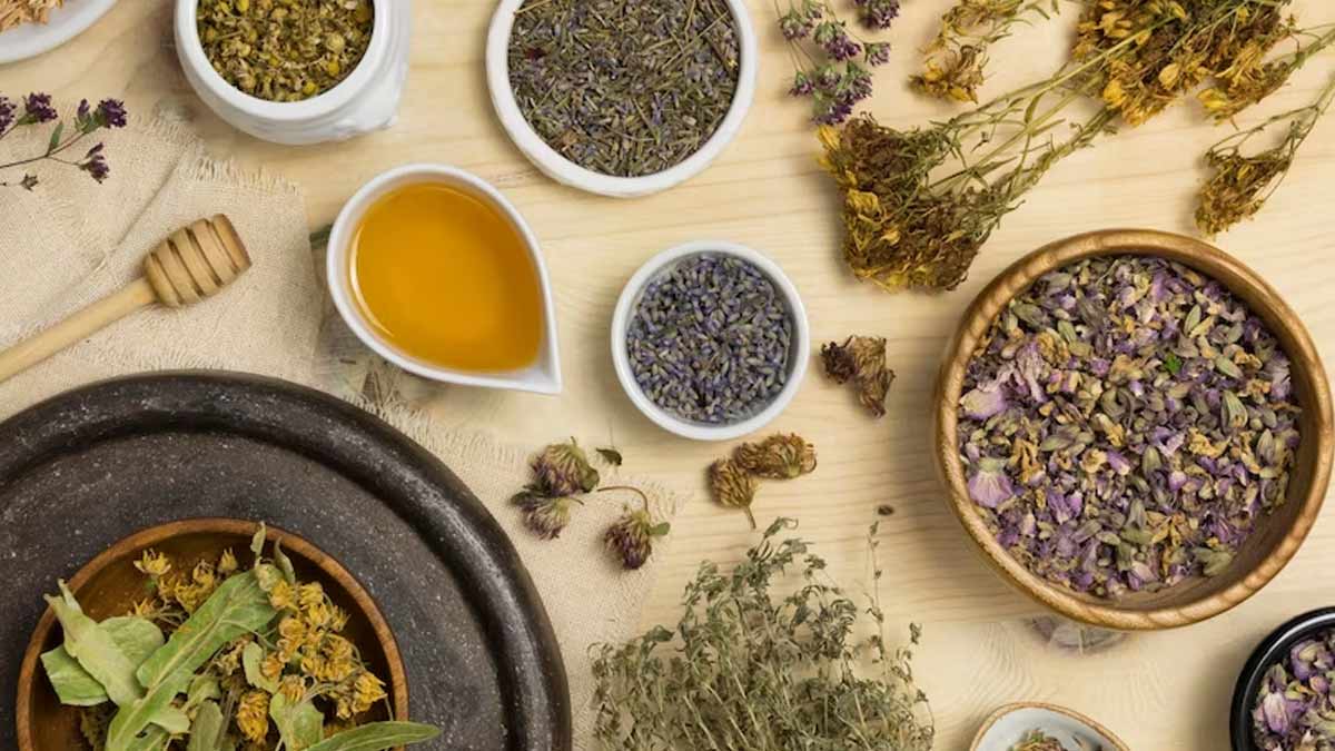 Ayurvedic Herbs To Strengthen Immunity Amid Rising Infection Cases
