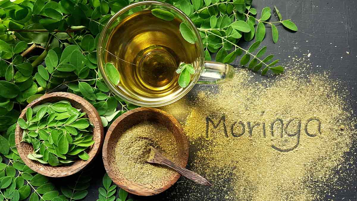 Moringa For Weight Loss: Expert Explains How Moringa Aids In Weight Loss