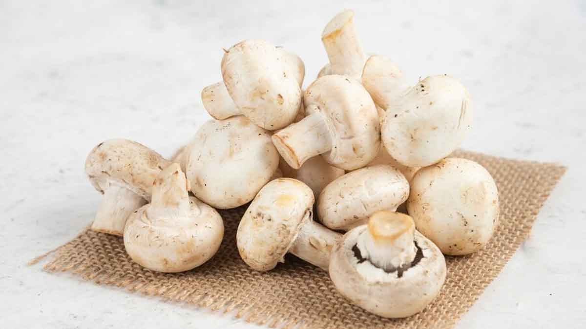 Mushroom Benefits: காளான் இதுக்கும் நல்லதா? குழந்தைகள் முதல் பெரியவர்கள் வரை..